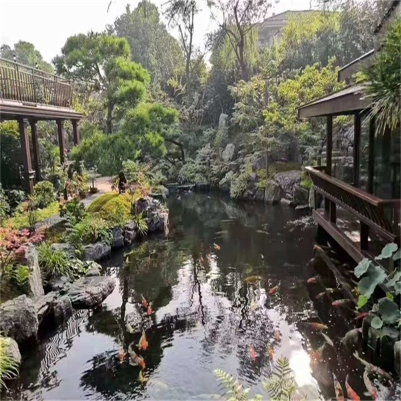 铁东小庭院假山鱼池